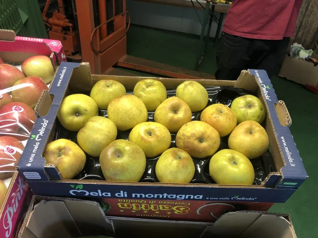 Kiste mit frischen Melinda-Äpfeln 'Bergapfel' - banchetto Bottamedi in Via Cavalleggeri Udine, Mezzolombardo