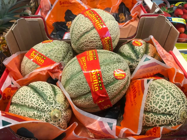 Aromatische, süße Melonen Sattin Dolce Passione - banchetto Bottamedi in Via Cavalleggeri Udine, Mezzolombardo